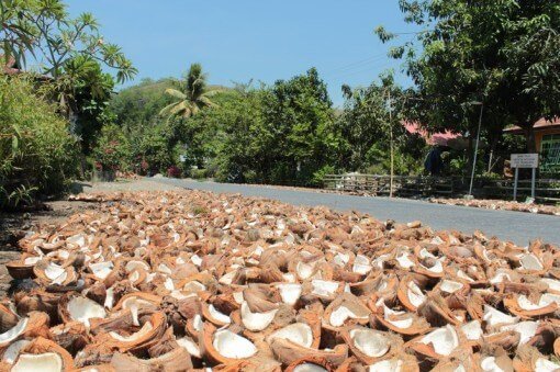 Kokosöl aus Indonesien