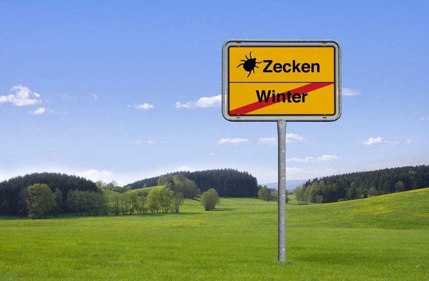 Zecken