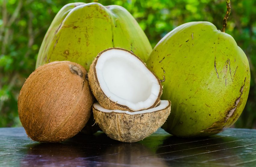 Kokosöl und seine Wirkung