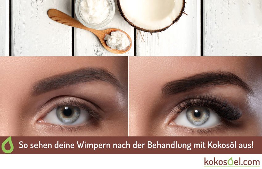 Kokosöl Wimpern