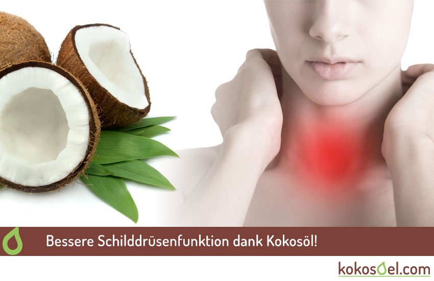 Schilddrüsenfuktion Kokosöl