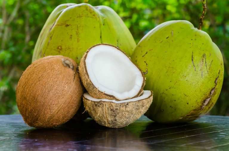 wissenswertes über kokosöl