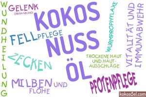 Kokosöl-Tipps für Katzenbesitzer