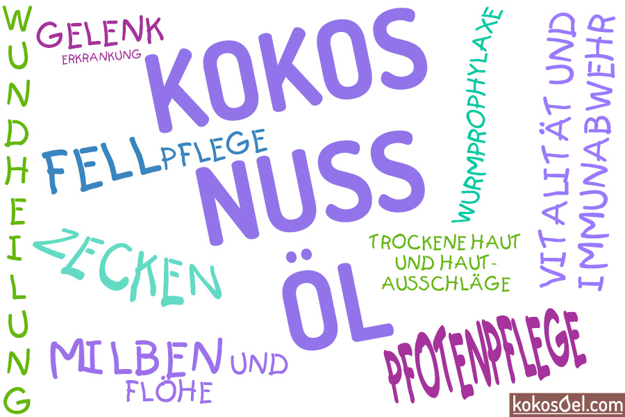 10 Kokosöl Tipps Für Katzen Besitzer Schutz Und Pflege In