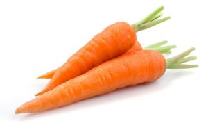 frische Karotten