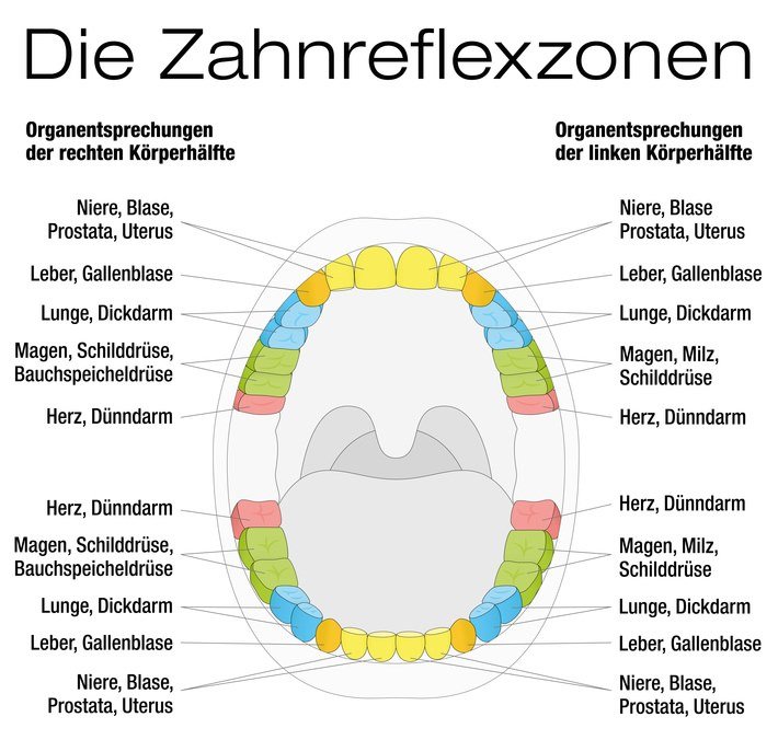 Kokosöl Ölziehen