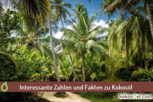 Zahlen und Fakten zu Kokosöl