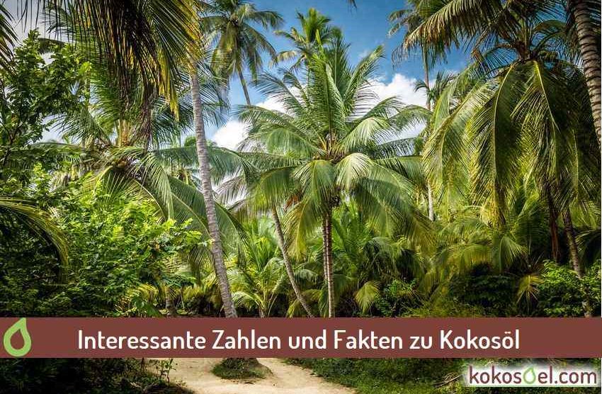 Zahlen und Fakten zu Kokosöl