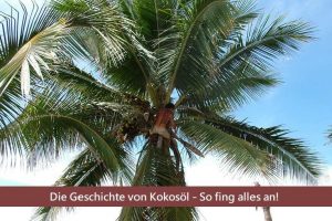 Geschichte von Kokosöl