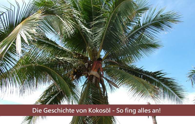 Geschichte von Kokosöl