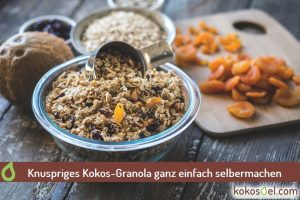 Kokos-Granola